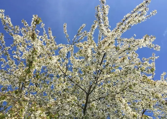 Seesucht-apartment No86 Mit Terrassen, Sauna & Pool *