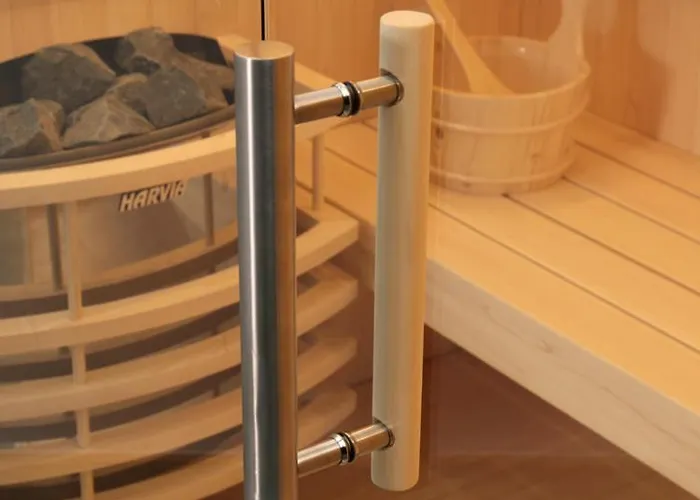 Seesucht-apartment No86 Mit Terrassen, Sauna & Pool Appartement Bodman-Ludwigshafen