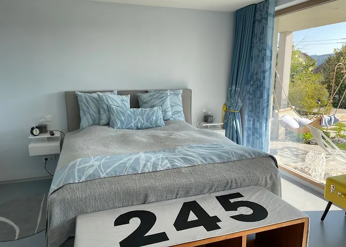 Seesucht-apartment No86 Mit Terrassen, Sauna & Pool Appartement Bodman-Ludwigshafen